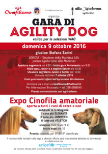 locandina Agility-Expo 9 ottobre 2016.indd